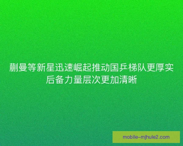 蒯曼等新星迅速崛起推动国乒梯队更厚实后备力量层次更加清晰 蒯曼等新星迅速崛起推动国乒梯队更厚实后备力量层次更加清晰