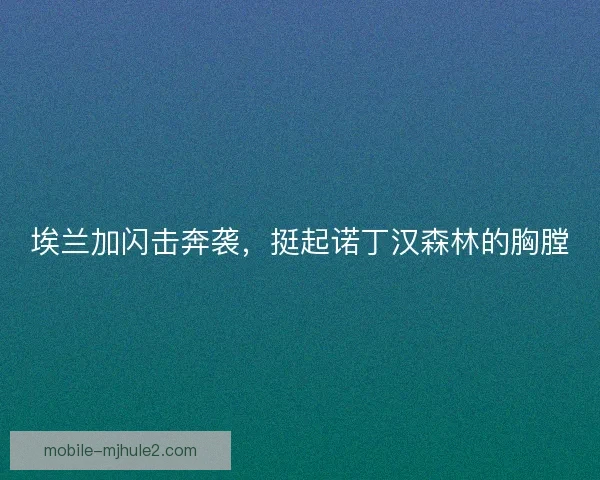 埃兰加闪击奔袭,挺起诺丁汉森林的胸膛 埃兰加闪击奔袭,挺起诺丁汉森林的胸膛